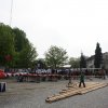 Maibaum 2013